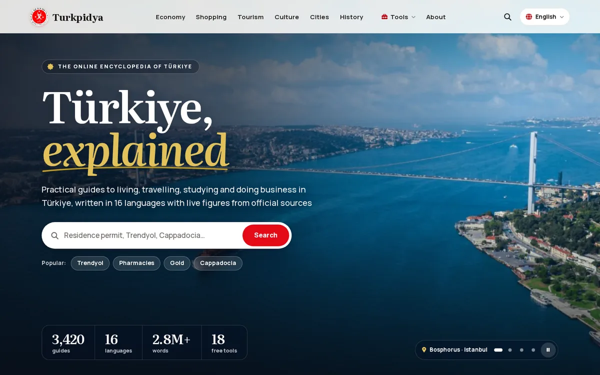 Turkpidya live website