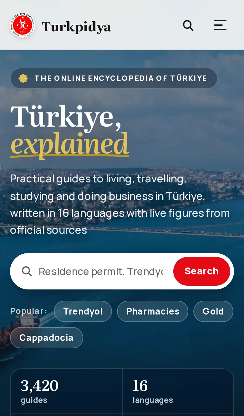 Turkpidya on a phone